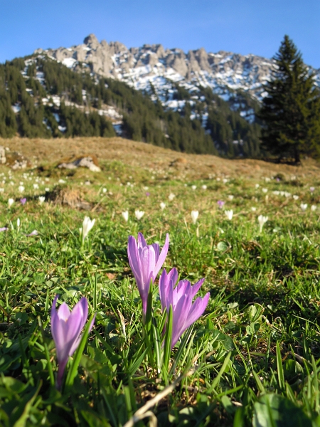 Gafadura 1428m 06_04_2011 (58).jpg
